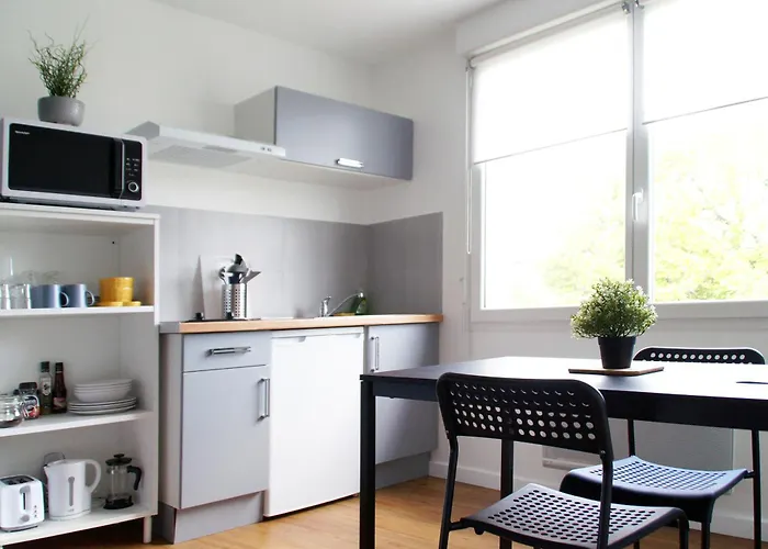 La Résidence Des 53 Hébergement de vacances La Roche-sur-Yon